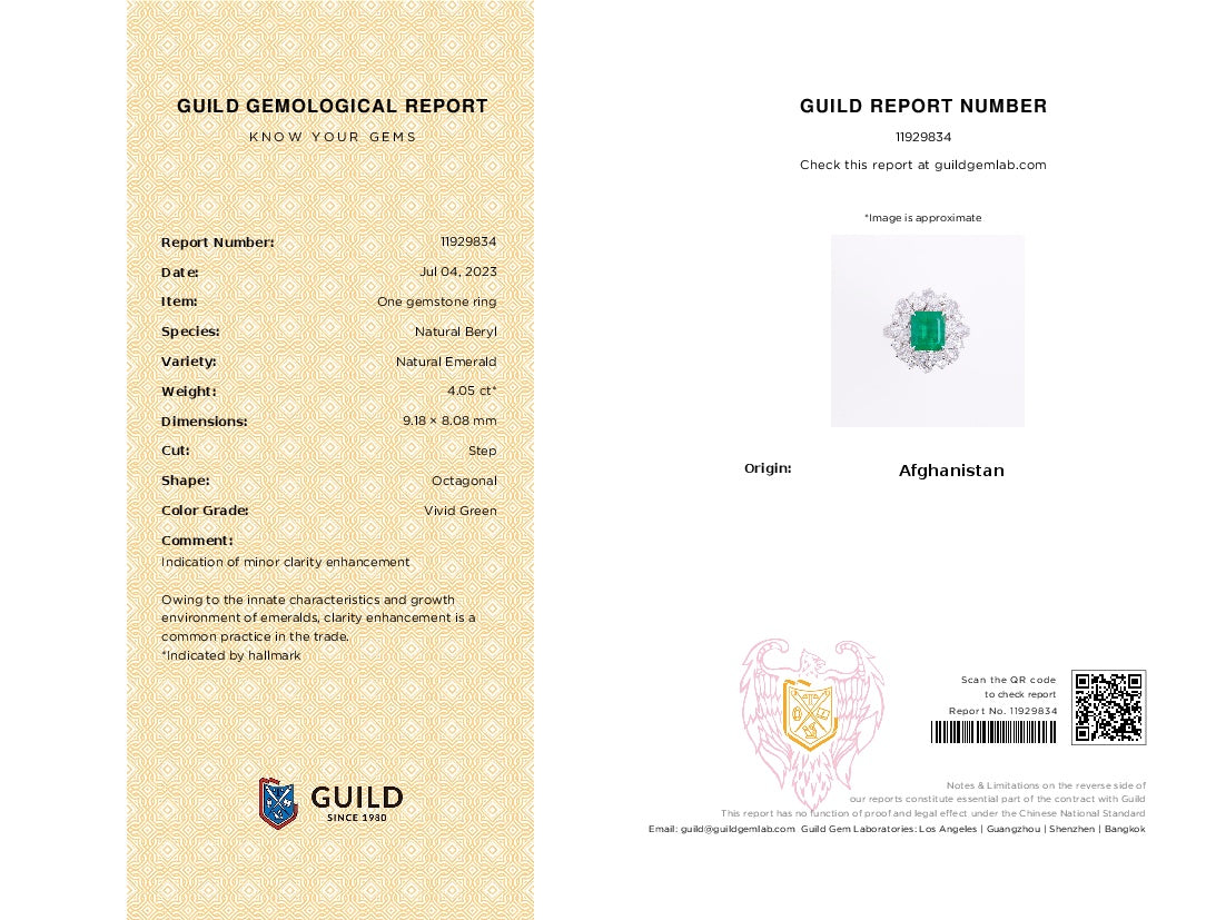 Emerald Pendant/Ring Dual-Use Jewelry -潘杰希尔 Vivid Green with GUILD Certificate